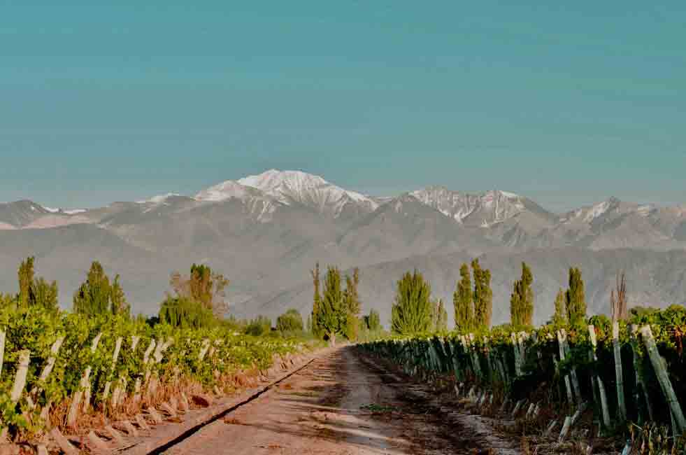 bodegas en Maipú