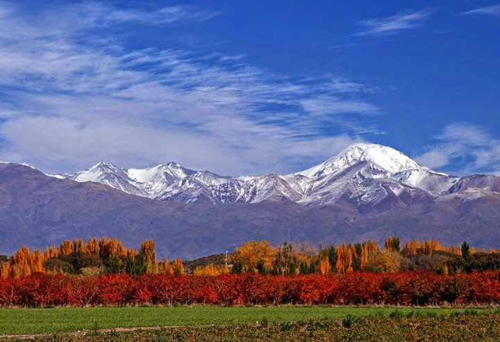 otoño mejor epoca en Mendoza