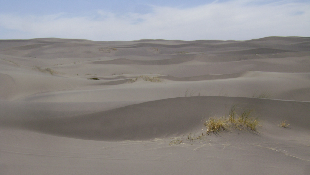 dunas de el nihuil.