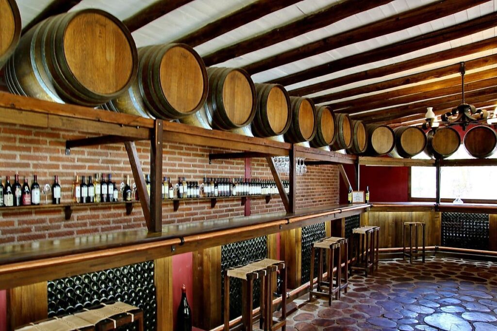 bodega goyenechea, San Rafael, Mendoza.