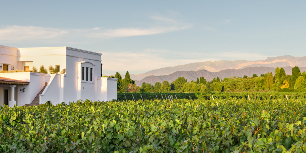Bodega Senetiner, Mendoza.