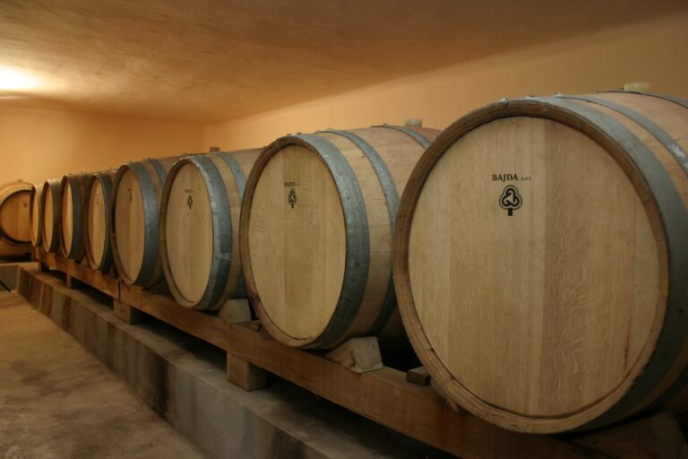 Bodega de San Rafael Mendoza