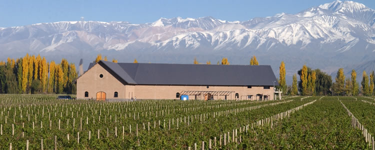 Bodega dominio del plata