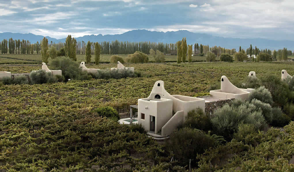 Cavas Wine