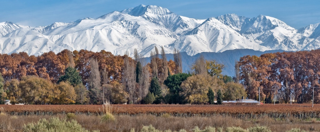 mendoza en invierno