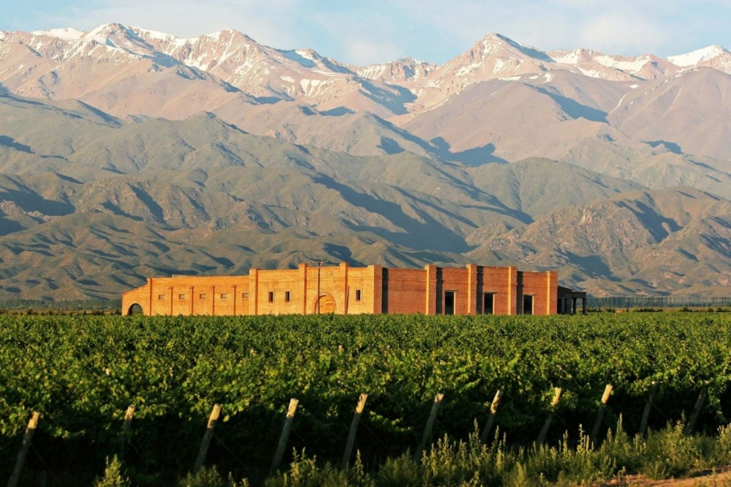 Bodegas