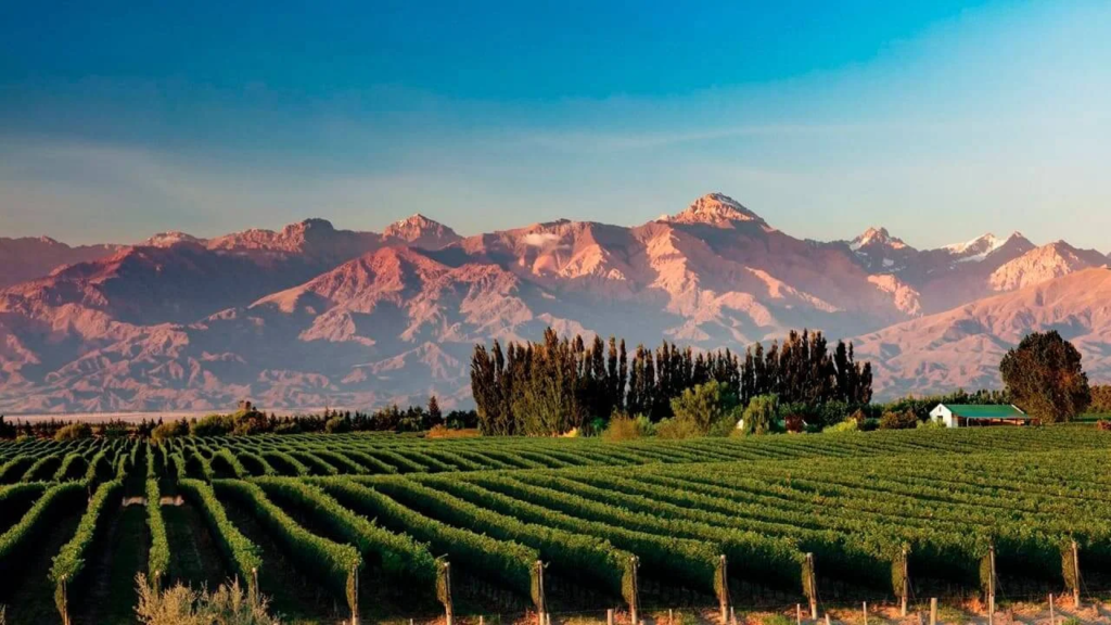 Mendoza Verano
